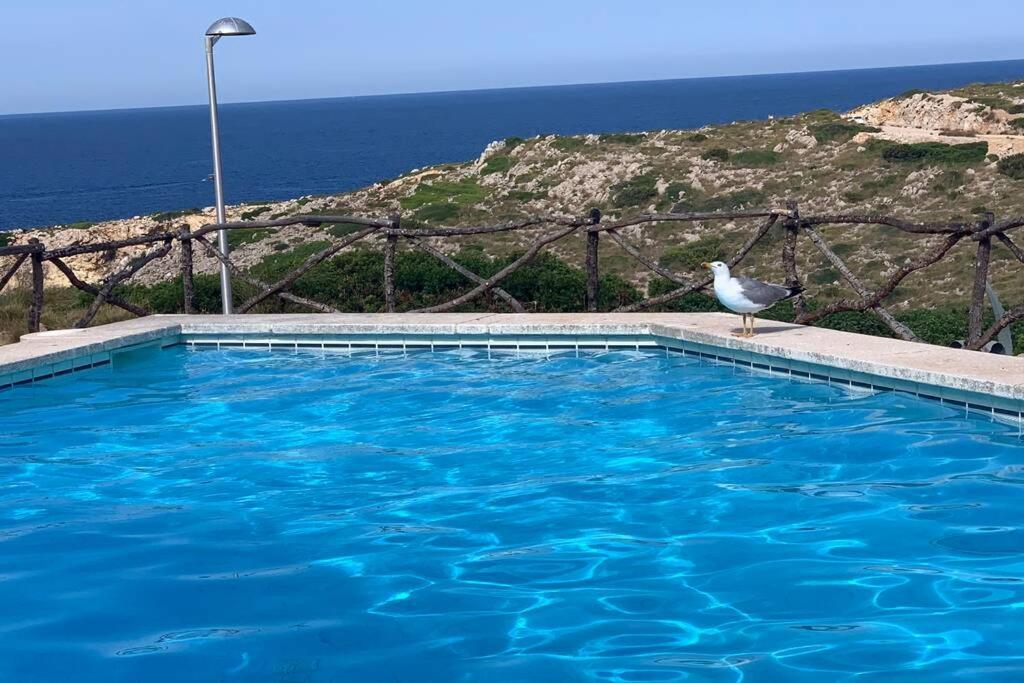 Apartamento A Estrenar Con Vistas Al Mar. Сон-Парк Экстерьер фото